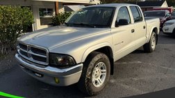 2002 Dodge Dakota Base