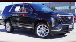 2026 Cadillac Escalade Luxury