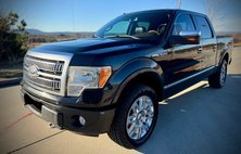 2010 Ford F-150 Platinum