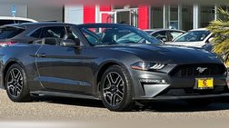 2019 Ford Mustang EcoBoost