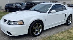 2003 Ford Mustang SVT Cobra SVT Cobra