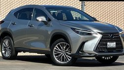2024 Lexus NX 350h Luxury