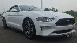 2019 Ford Mustang EcoBoost Premium