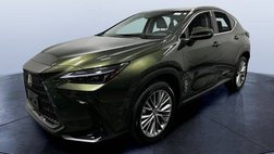 2025 Lexus NX 350h Premium