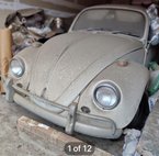 1967 Volkswagen Beetle 1967 ���ONE-YEAR-ONLY��� BUG