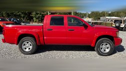 2008 Dodge Dakota SLT