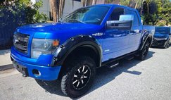 2013 Ford F-150 FX4