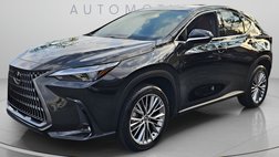 2025 Lexus NX 350h Luxury