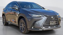 2025 Lexus NX 250 Premium