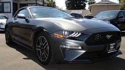 2019 Ford Mustang EcoBoost