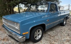 1981 Chevrolet C/K 10 Series C10