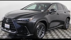 2025 Lexus NX 250 Base