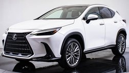 2023 Lexus NX 350 Luxury