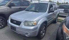 2007 Ford Escape XLT