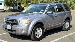 2008 Ford Escape Hybrid Base