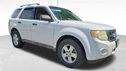 2010 Ford Escape XLT