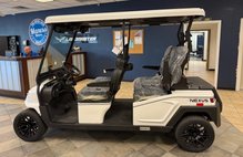 2025 Other Makes 4 PERSON