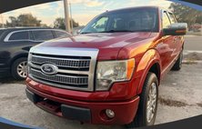 2010 Ford F-150 Platinum