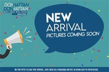 2013 Dodge Charger Police