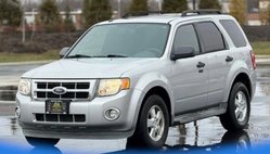 2009 Ford Escape XLT