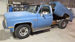 1981 Chevrolet C/K 20 Series 