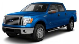 2010 Ford F-150 