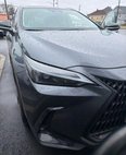 2023 Lexus NX 350h Premium