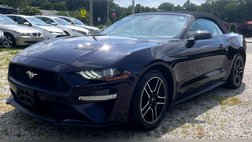 2023 Ford Mustang EcoBoost