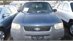 2001 Ford Escape XLT for Sale - iSeeCars