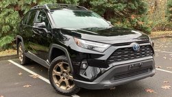 2024 Toyota RAV4 Hybrid Woodland Edition
