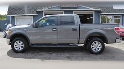 2013 Ford F-150 Platinum