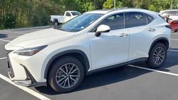 2025 Lexus NX 250 Premium