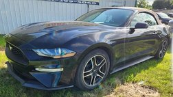 2019 Ford Mustang Premium
