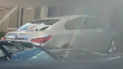 1981 Chevrolet Corvette Base