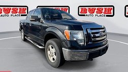2010 Ford F-150 XL