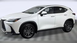 2024 Lexus NX 350h Luxury