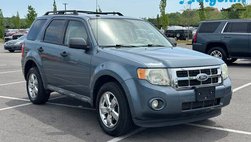 2011 Ford Escape XLT