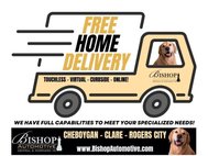 2024 GMC Sierra 1500 Elevation Standard