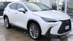 2024 Lexus NX 350 Luxury