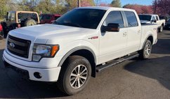 2013 Ford F-150 FX4