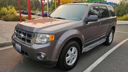 2010 Ford Escape XLT