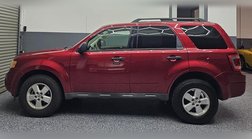 2009 Ford Escape XLT
