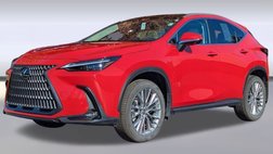 2025 Lexus NX 350 Luxury