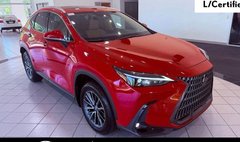 2025 Lexus NX 250 Premium