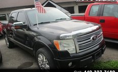2010 Ford F-150 XL