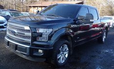 2015 Ford F-150 Platinum