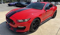 2019 Ford Mustang Shelby GT350