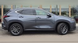 2025 Lexus NX 250 Premium