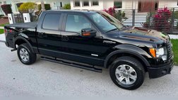 2011 Ford F-150 FX4