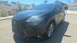 2024 Lexus NX 350 Luxury